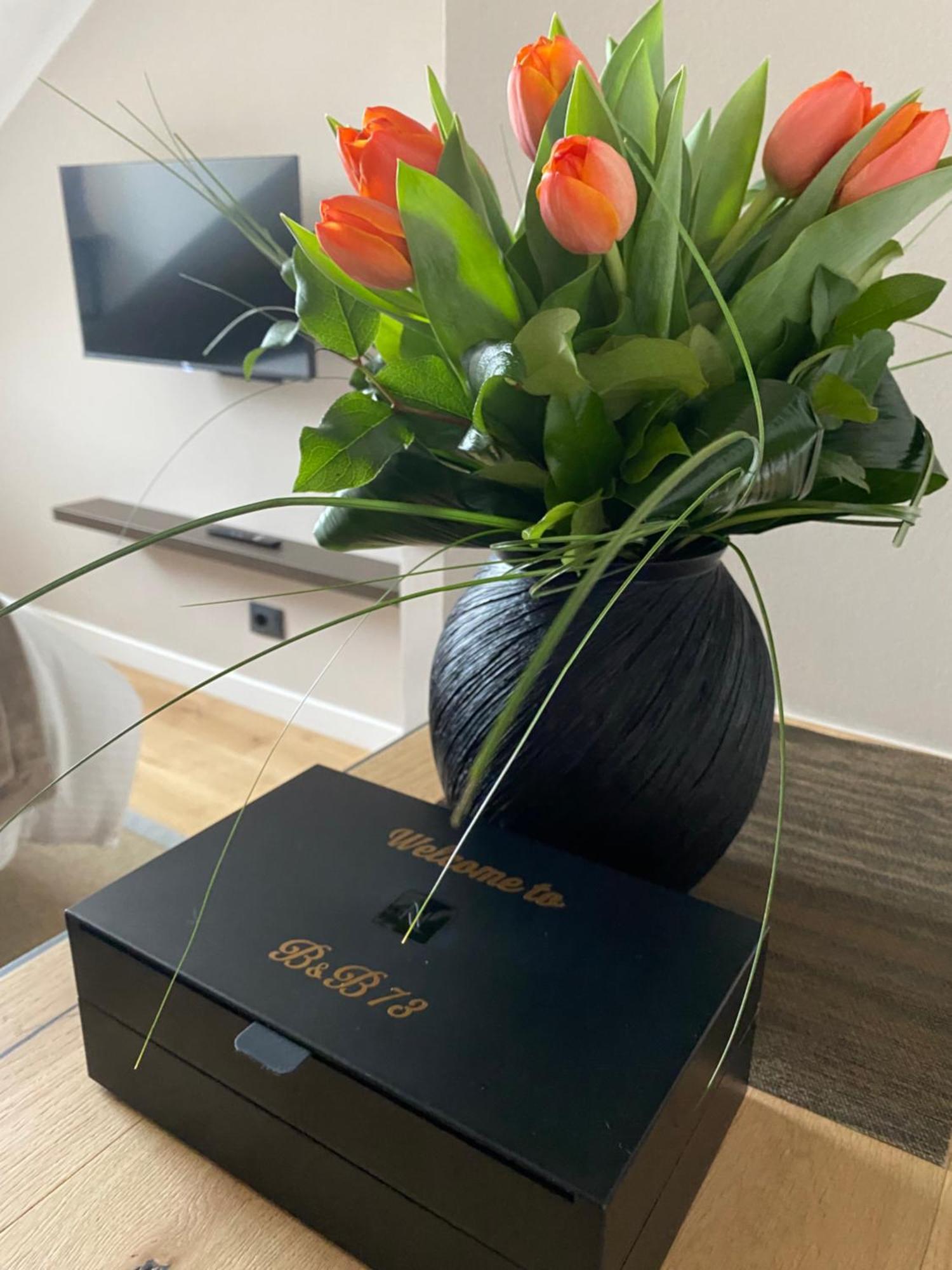 Apartment Vittorio 73 Luxury Turin